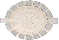 CA/15 - Tegaderm High Performance Adhesive Foam Dressing 8-3/4" x 7-1/2" Large Oval