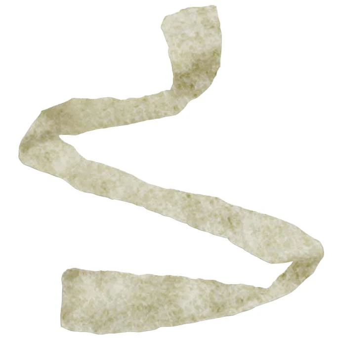 CA/20 - Algicell Silver Alginate Wound Dressing Rope, 3/4" x 12"
