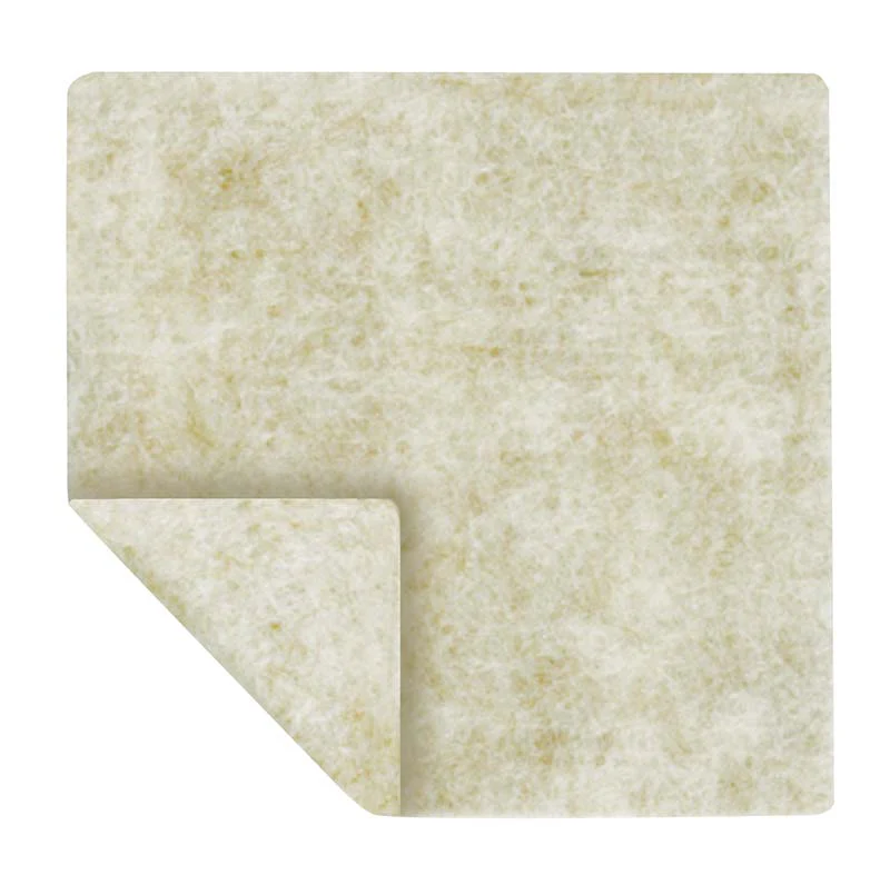 BX/10 - Algicell Ag Antimicrobial Silver Dressing 2" x 2"