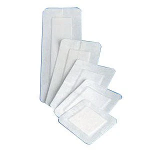 BX/10 - Covaderm Plus, 4" X 4", Pad 2.5" X 2.5"